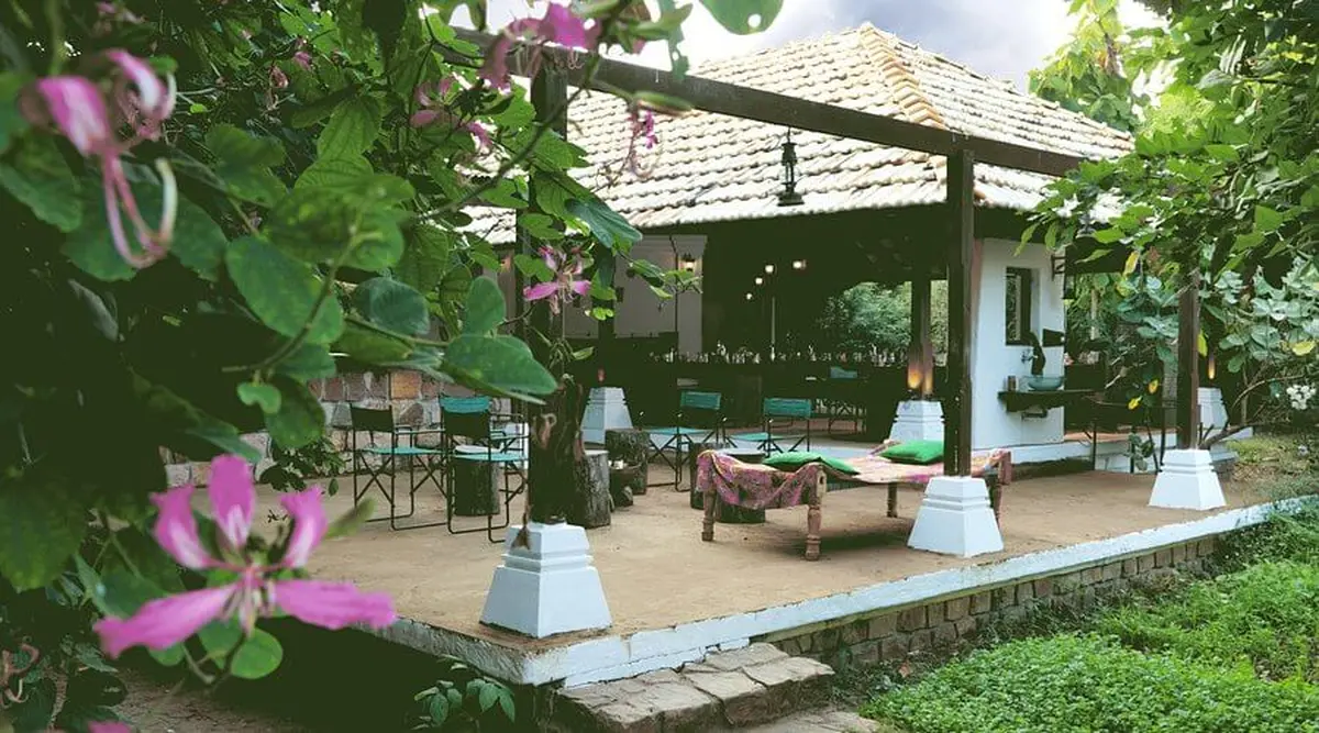 Waghoba dining Tadoba